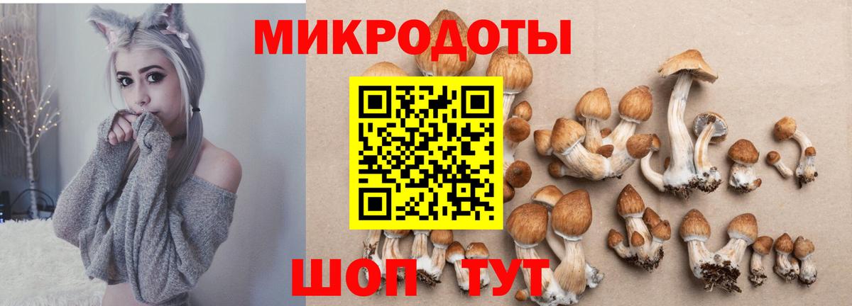 Галлюциногенные грибы GOLDEN TEACHER Димитровград